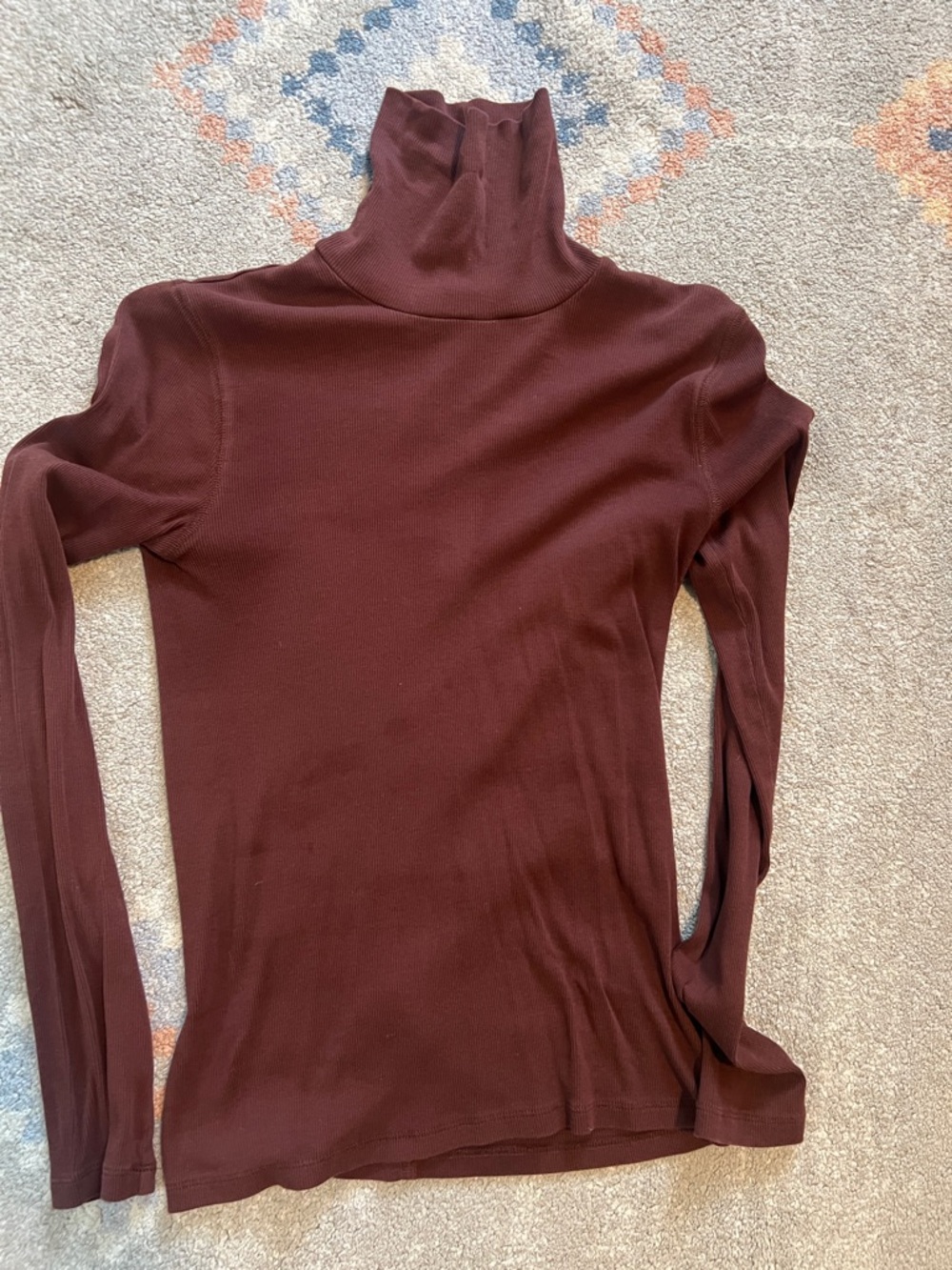 Everlane Maroon Turtleneck Long Sleeve Top
